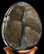 Septarian Dragon Egg Geode - Crystal Filled #40898-1